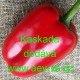 Paprika roční zeleninová Kaskada