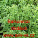 Bazalka pravá vonná Balkonstar