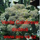 Brokolice Verde Calabrese