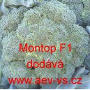 Brokolice hybridní Montop F1